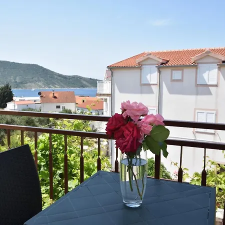 Apartments Nera Primosten Exterior photo